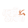 Deshi Dabba
